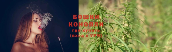 МДПВ Семёнов