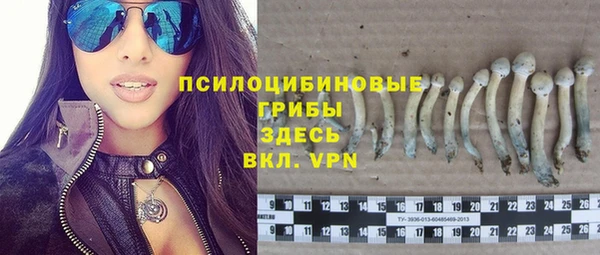 герыч Алзамай