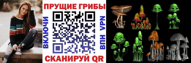 Галлюциногенные грибы Psilocybe Межгорье