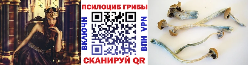 Галлюциногенные грибы Magic Shrooms дарнет шоп Межгорье