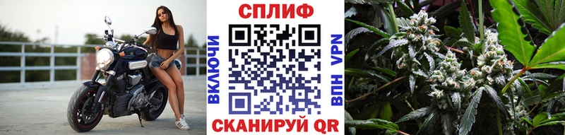 Бошки Шишки VHQ  Межгорье 